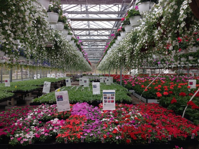 Volante Farms Greenhouse
