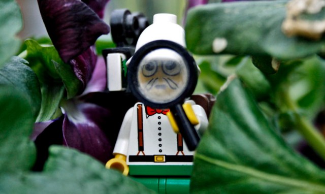 "Forget for a minute that they're used as toys," says Ludovico Cademartiri. "They're actually pieces of high-quality plastic, built to extraordinary standards of precision, that you can use to build stuff." (Credit: JonoTakesPhotos/Flickr)