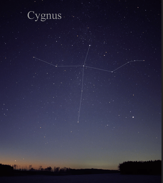 Cygnus Image