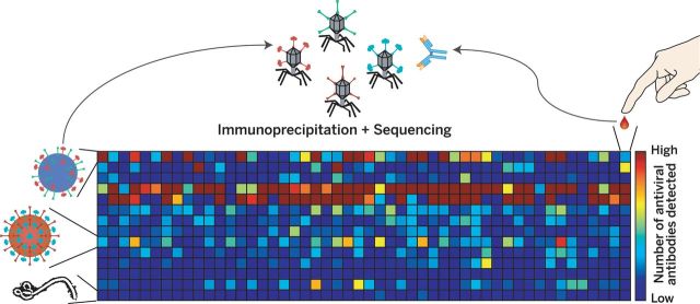 Viral Exposure Profiling